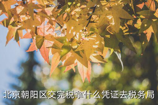 如何查稅單 北京，北京朝陽區(qū)交完稅拿什么憑證去稅務局