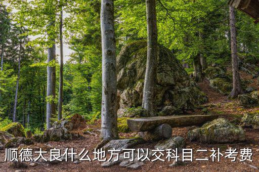 如何取消順德稅務平臺上的預約，如何取消順德人民醫(yī)院網上掛號