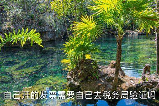 如何去稅務(wù)局驗(yàn)證發(fā)票嗎，發(fā)票怎么去稅務(wù)局驗(yàn)證需要什么資料