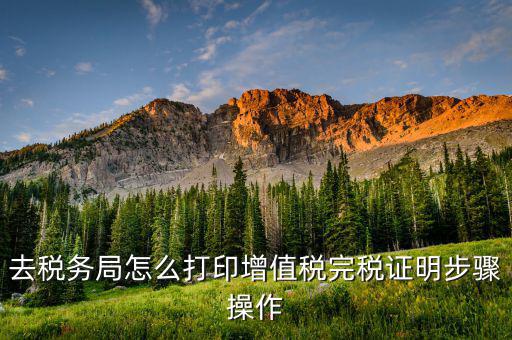 如何打印北京納稅證明，去稅務局怎么打印增值稅完稅證明步驟操作