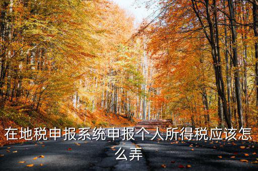 如何在北京地稅局申報(bào)個(gè)稅，在地稅申報(bào)系統(tǒng)申報(bào)個(gè)人所得稅應(yīng)該怎么弄