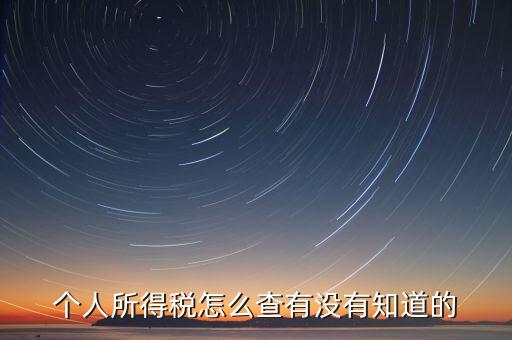 張家港個(gè)人所得稅如何查詢，個(gè)人所得稅怎么查有沒(méi)有知道的
