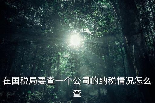 企業(yè)如何查詢納稅等級，在國稅局要查一個公司的納稅情況怎么查
