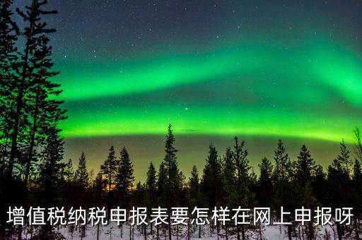 增值稅網(wǎng)上如何申報系統(tǒng)，增值稅納稅申報表要怎樣在網(wǎng)上申報呀