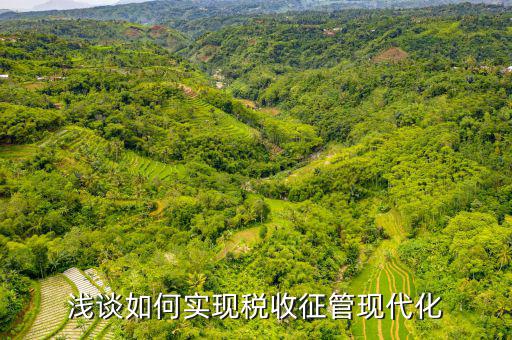 談?wù)勅绾瓮七M(jìn)新時(shí)代稅收現(xiàn)代化，淺談如何實(shí)現(xiàn)稅收征管現(xiàn)代化