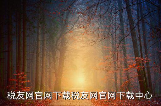 稅友如何下載，個稅在稅友網(wǎng)上下載下來了然后怎么安裝