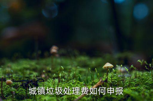 城市生活垃圾費(fèi)如何申報，城鎮(zhèn)垃圾處理費(fèi)如何申報