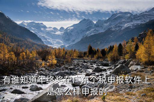 全年一次年終獎(jiǎng)軟件如何申報(bào)，有誰(shuí)知道年終獎(jiǎng)在廣東個(gè)稅申報(bào)軟件上是怎么樣申報(bào)的