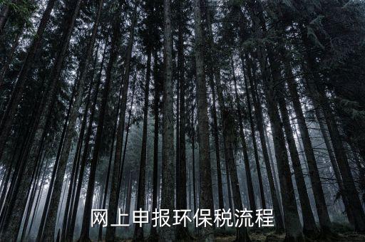 電子稅務(wù)局環(huán)保稅如何申報，2021年環(huán)保稅怎么申報