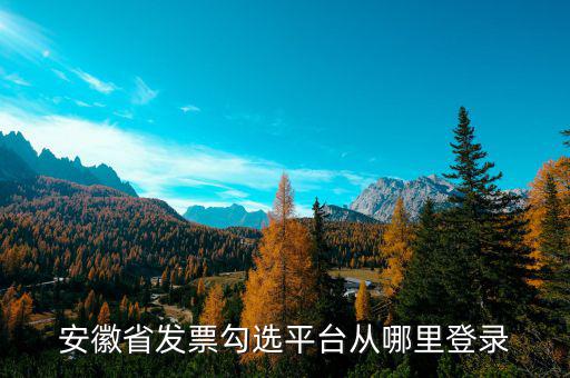 安徽省如何在網(wǎng)上申請(qǐng)購(gòu)發(fā)票，安徽省發(fā)票勾選平臺(tái)從哪里登錄
