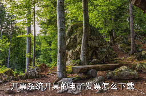 發(fā)票助手如何安裝在手機上，增值稅發(fā)票稅控開票軟件怎么安裝