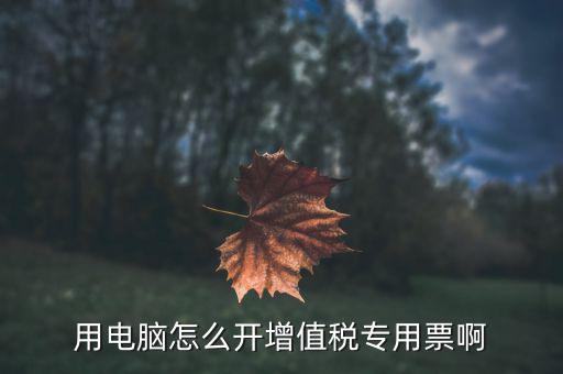 網(wǎng)上開專票如何填寫，網(wǎng)上訂票注冊怎么填