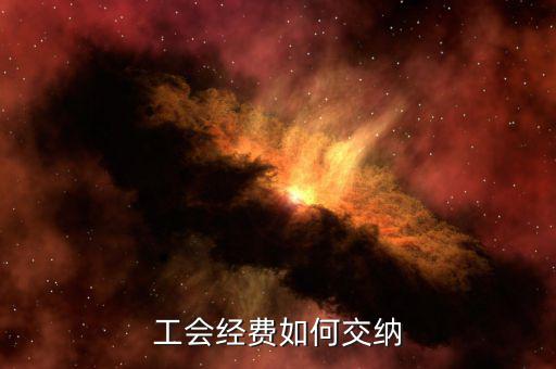 公司工會如何繳納，企業(yè)工會會費(fèi)怎么交的