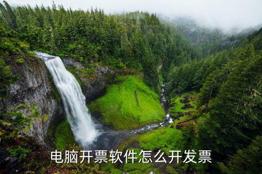 最新開票軟件如何開票，電腦開票軟件怎么開發(fā)票