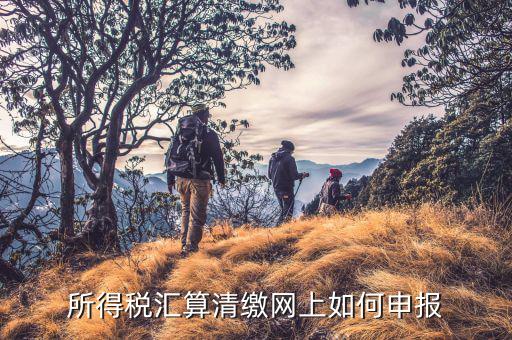 清稅申請如何在云稅廳申請，網(wǎng)上企業(yè)所得稅匯算清繳如何申報(bào)