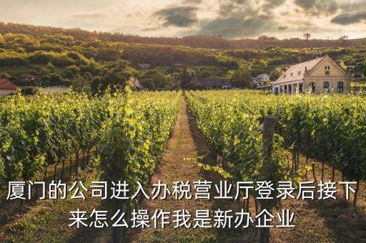 廈門(mén)公司如何辦理稅務(wù)，廈門(mén)公司如何申請(qǐng)一般納稅人