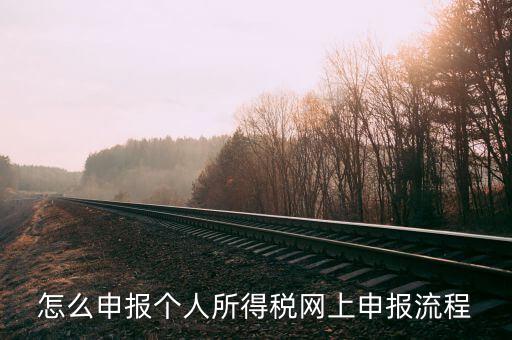 泉州個(gè)人所得稅如何網(wǎng)上申報(bào)，個(gè)人所得稅網(wǎng)上申報(bào)步驟
