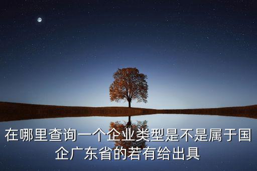 單位類(lèi)型如何查詢(xún)，如何查詢(xún)企業(yè)管理類(lèi)別