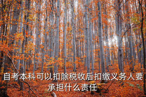 自考本科可以扣除稅收后扣繳義務(wù)人要承擔什么責(zé)任