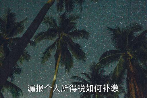 安徽省個稅如何補充申報，漏報個人所得稅如何補繳