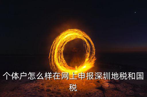 深圳市個(gè)稅如何申報(bào)系統(tǒng)，個(gè)體戶怎么樣在網(wǎng)上申報(bào)深圳地稅和國(guó)稅