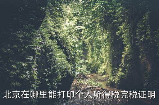 北京如何打個(gè)稅證明，北京買房 如何開個(gè)稅證明