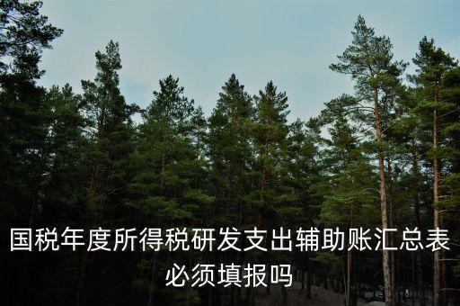 研發(fā)支出輔助賬匯總表該如何填寫，什么企業(yè)需要填 研發(fā)支出輔助賬匯總表