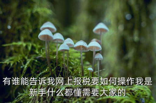 黑龍江如何報(bào)稅，黑龍江報(bào)稅
