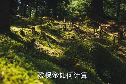 2016年杭州殘疾人保障金如何計(jì)算方法，殘疾人保障金計(jì)算方式