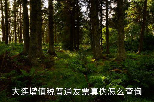 大連定額發(fā)票如何查詢系統(tǒng)，大連增值稅普通發(fā)票真?zhèn)卧趺床樵?/></a></span><span id=