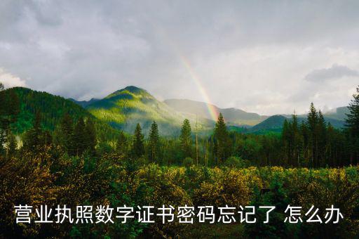 如何找回?cái)?shù)字證書密碼，營業(yè)執(zhí)照數(shù)字證書密碼忘記了 怎么辦