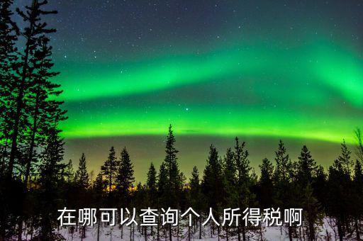 如何查詢個(gè)人所得稅記錄，在哪可以查詢個(gè)人所得稅啊