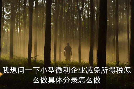 小微企業(yè)所得稅如何減免，我想問一下小型微利企業(yè)減免所得稅怎么做具體分錄怎么做