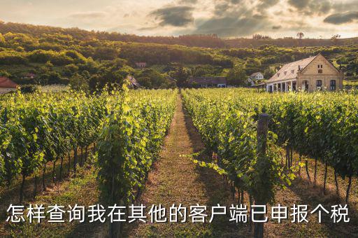 如何查詢之前申報扣繳過的個稅，怎樣查詢我在其他的客戶端已申報個稅