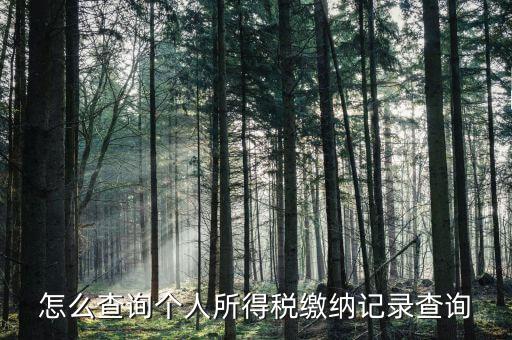 沈陽如何查個(gè)人所得稅繳費(fèi)明細(xì)，如何查詢個(gè)人所得稅申報(bào)明細(xì)情況