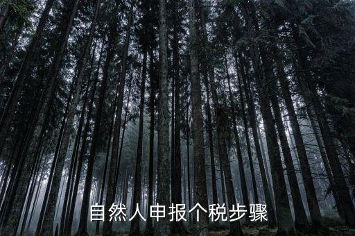自然人稅收如何申報(bào)表，自然人申報(bào)個(gè)稅步驟