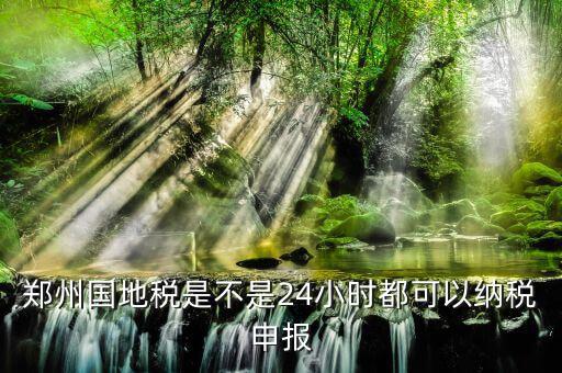 鄭州如何進(jìn)行地稅網(wǎng)上申報，鄭州國地稅是不是24小時都可以納稅申報