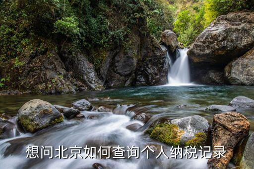 如何查詢北京納稅申報，納稅申報表在哪里查詢