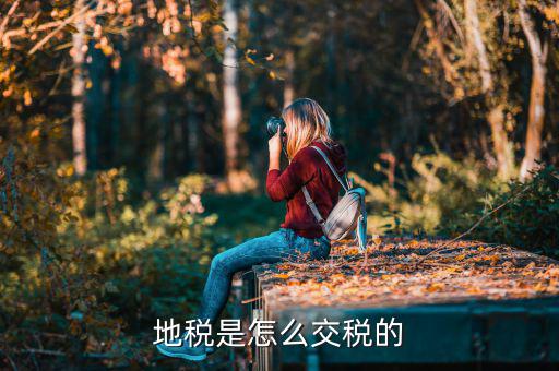 吉林市地稅如何收取，國地稅怎么收