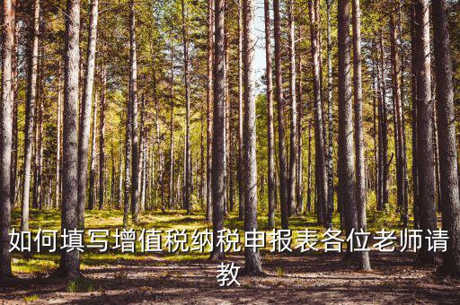 增值稅納稅申報(bào)表如何填報(bào)，增值稅申報(bào)表如何填寫