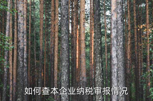 如何查詢公司納稅情況，如何查本企業(yè)納稅審報(bào)情況