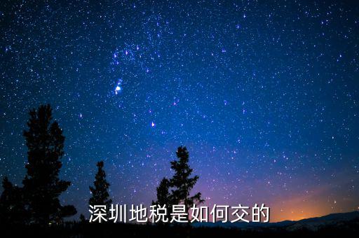深圳市國(guó)家稅務(wù)局如何交稅，深圳市公司網(wǎng)上報(bào)國(guó)稅要這么操作啊