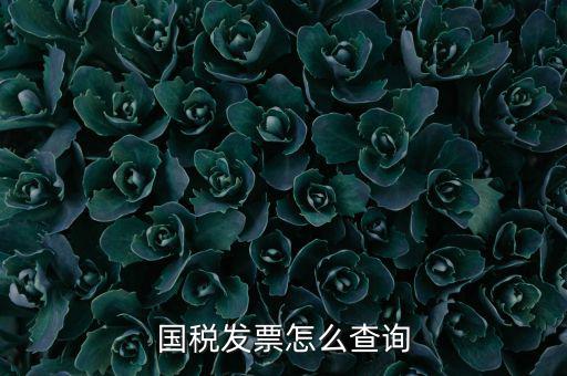 深圳市國(guó)稅局郵寄發(fā)票如何查詢，國(guó)稅發(fā)票怎么查詢