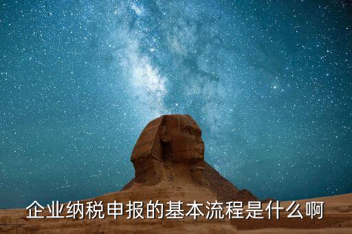 施工企業(yè)如何申報(bào)稅，企業(yè)納稅申報(bào)的基本流程是什么啊