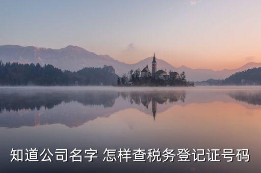 公司國(guó)稅編號(hào)如何查詢系統(tǒng)，公司的稅務(wù)登記證號(hào)怎么查詢