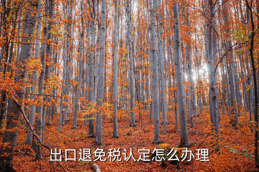 企業(yè)出口免退稅如何辦理，外貿公司出口免稅產品在出口退稅系統里面該如何辦理免稅申報