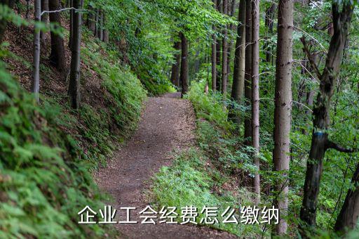 工會組織成立后如何繳費，公司要怎么交工會經(jīng)費