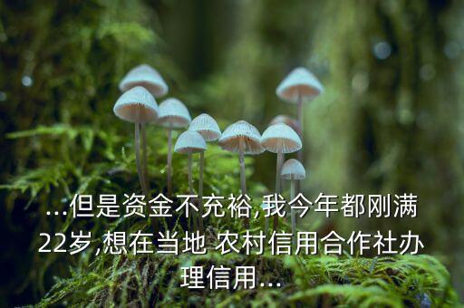 怎么可以在農(nóng)村吸儲,中國農(nóng)村信用社存款安全無風(fēng)險(xiǎn)