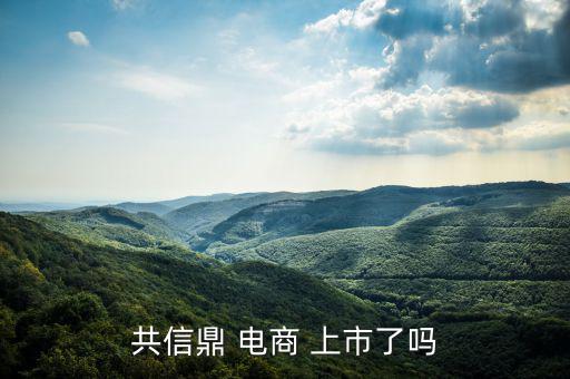 電商怎么上市,南極電商在納斯達(dá)克上市騰訊、慧聰網(wǎng)香港上市
