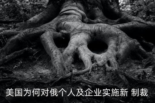 美國為何對俄個人及企業(yè)實(shí)施新 制裁